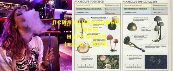 кокаин VHQ Армянск